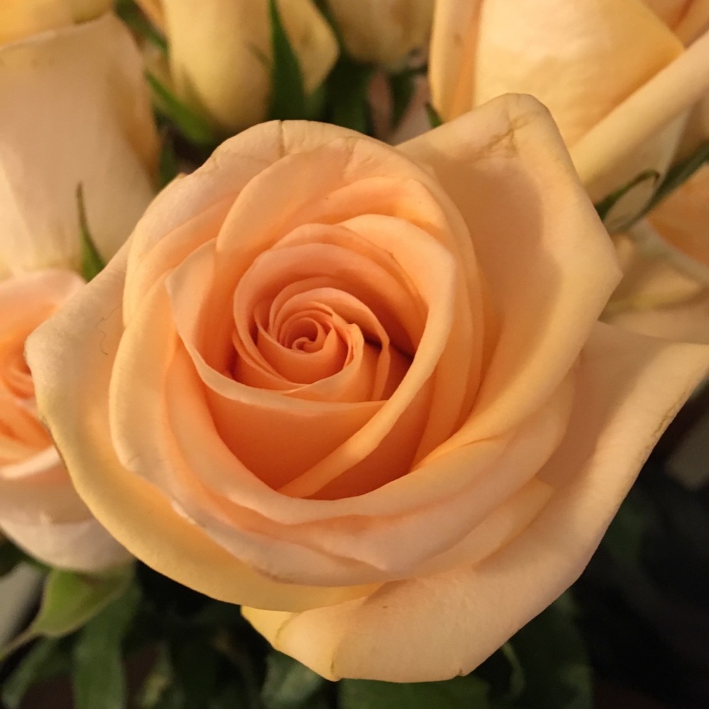 Meet your Posher, Angie